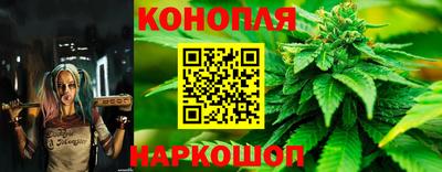 гашик Волжский