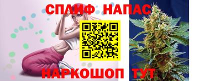 гашик Волжский