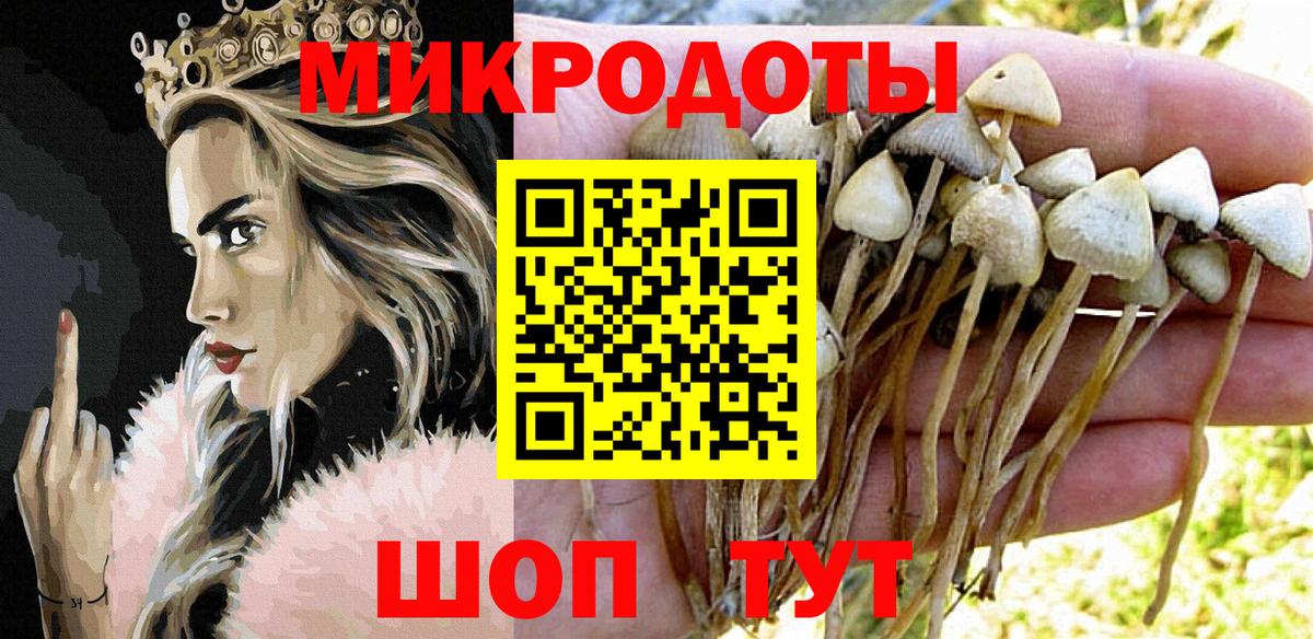 Галлюциногенные грибы прущие грибы  Вход с VPN  Мытищи 
